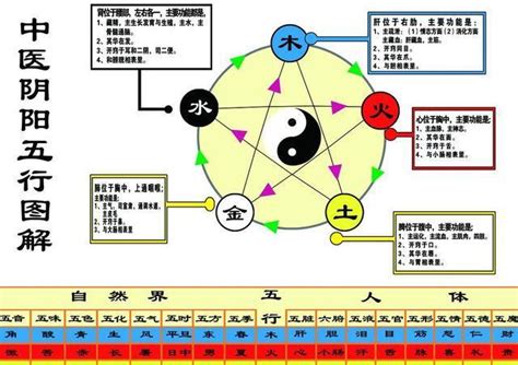 龜 五行|三界五行：龜的五行 各自表述